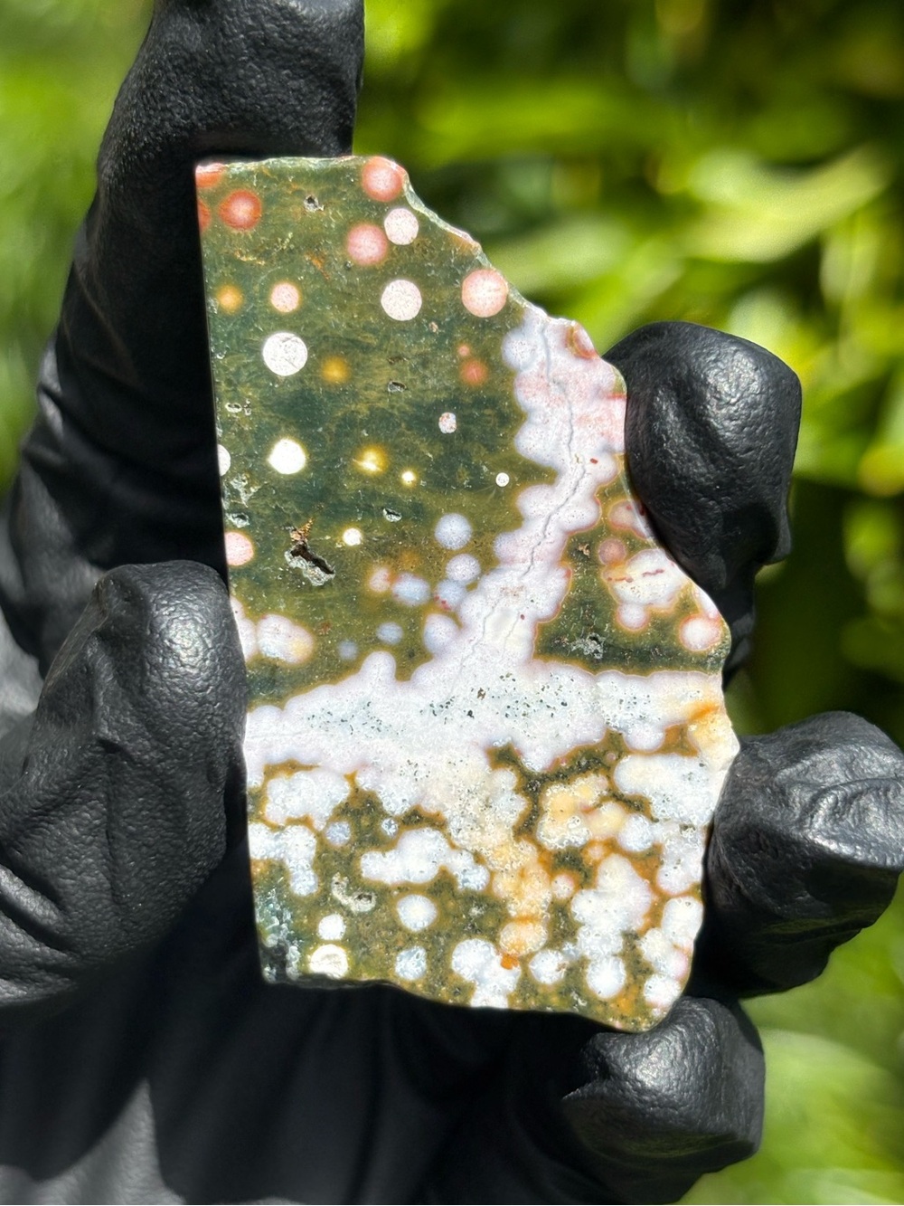Small Green Ocean Jasper Crystal Slab - Polished Sea Jasper - Orbicular Jasper